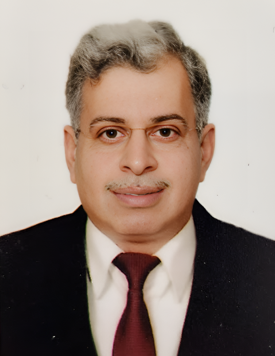 Mr Anukool Bhatnagar